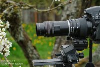001_pn-105mm_dsc9492_120415