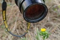 001_umn-300mm_dsc9288_110723