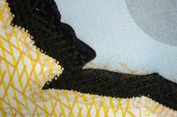 mn-multiphot-money-014-121206_dsc8351