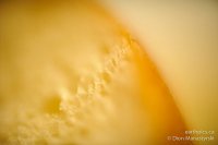 0006-rn-misc_dsc3558-100529