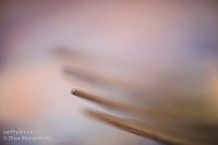 0007-rn-misc_dsc3093-110102