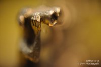 0012-rn-misc_dsc3105-110102