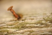 0022-rn-misc_dsc1051-101011