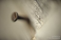 0023-rn-misc_dsc1008-101011