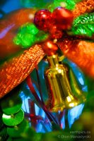 rn-christmas-orns-020-121224_dsc8779