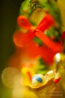 rn-christmas-orns-021-121224_dsc8797