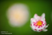 011-rn-gear-_dsc7795-120415