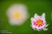 012-rn-gear-_dsc7796-120415