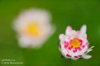 013-rn-gear-_dsc7797-120415