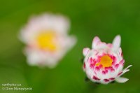014-rn-gear-_dsc7799-120415