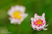 015-rn-gear-_dsc7800-120415